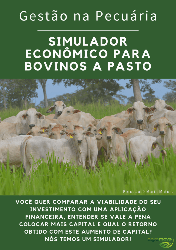 Simulador Pasto