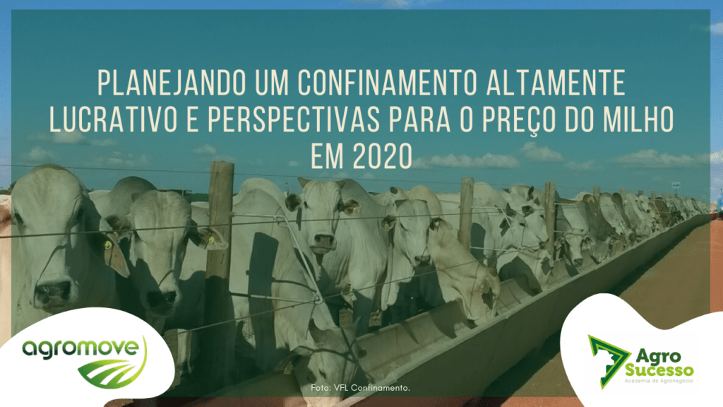 Perspectivas para o Milho em 2020