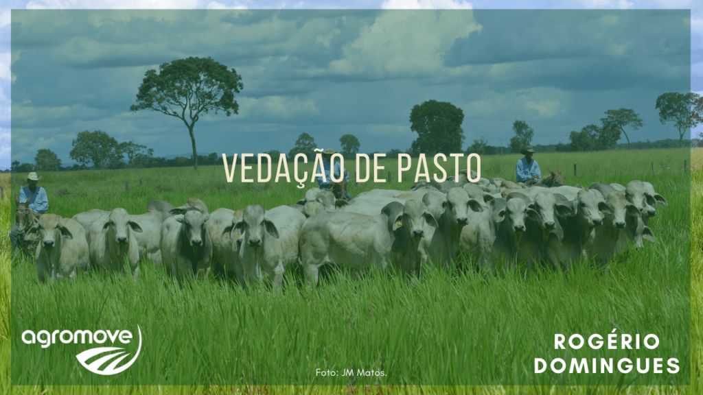 Webinar Vedação de Pastagem