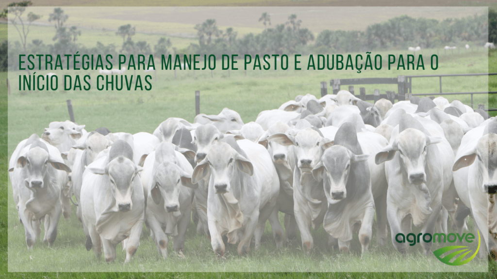Webinar Estratégias para manejo de pasto e adubação para o início das chuvas