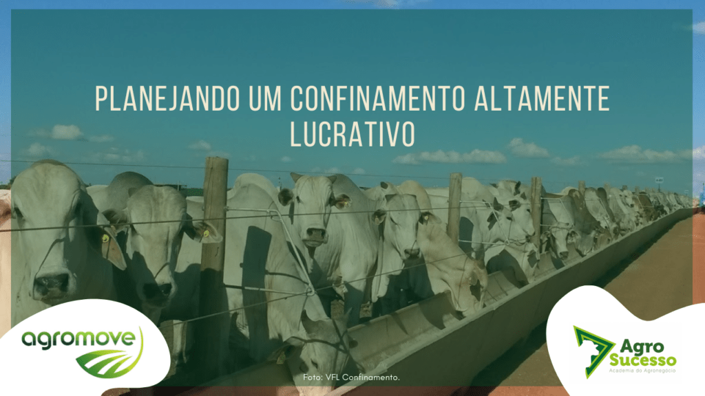 Webinar Planejando um Confinamento Altamente Lucrativo