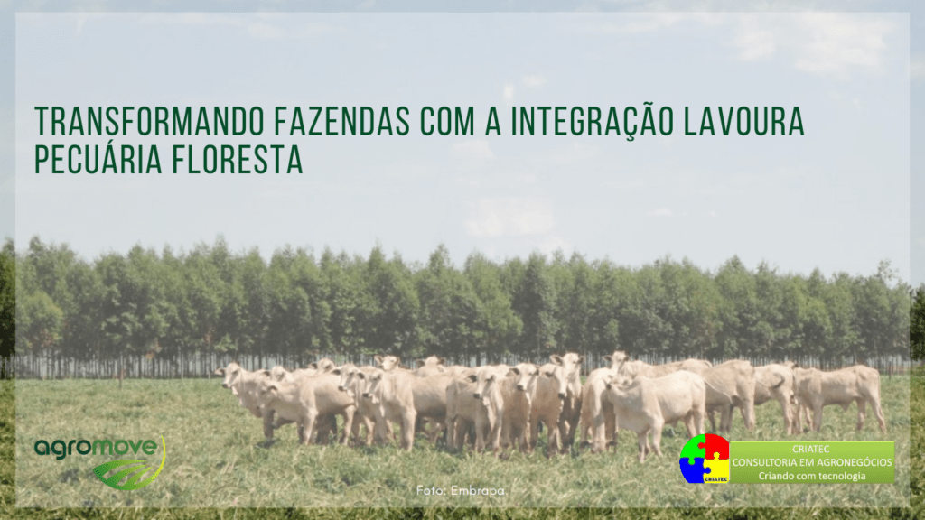 Webinar Transformando Fazendas com a Integração Lavoura Pecuária Floresta