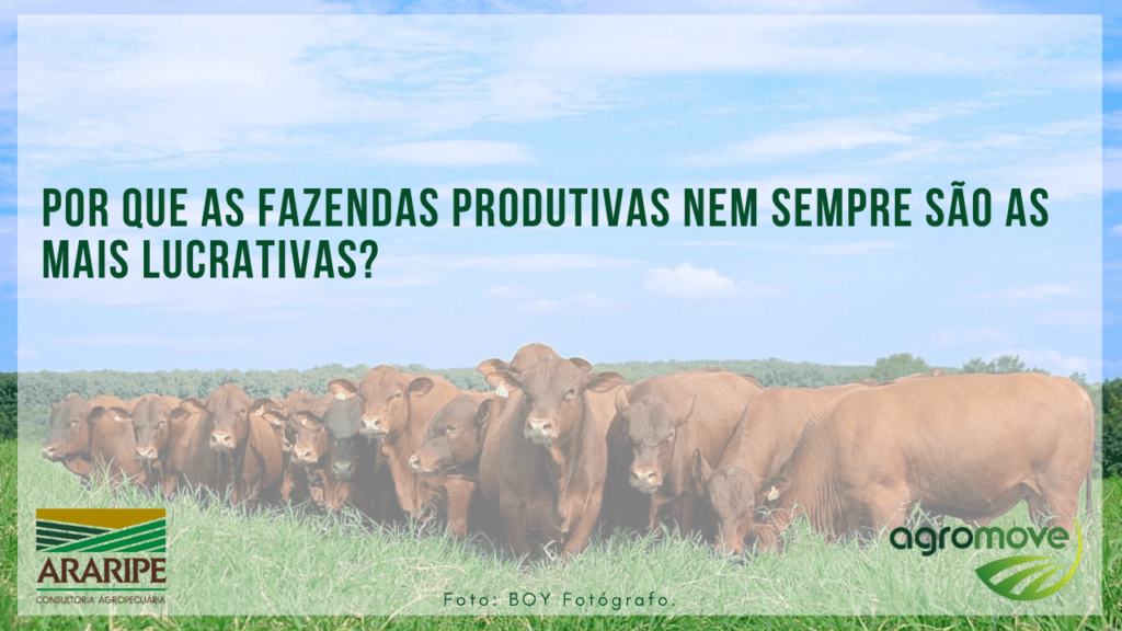 Por que as fazendas produtivas nem sempre são as mais lucrativas?