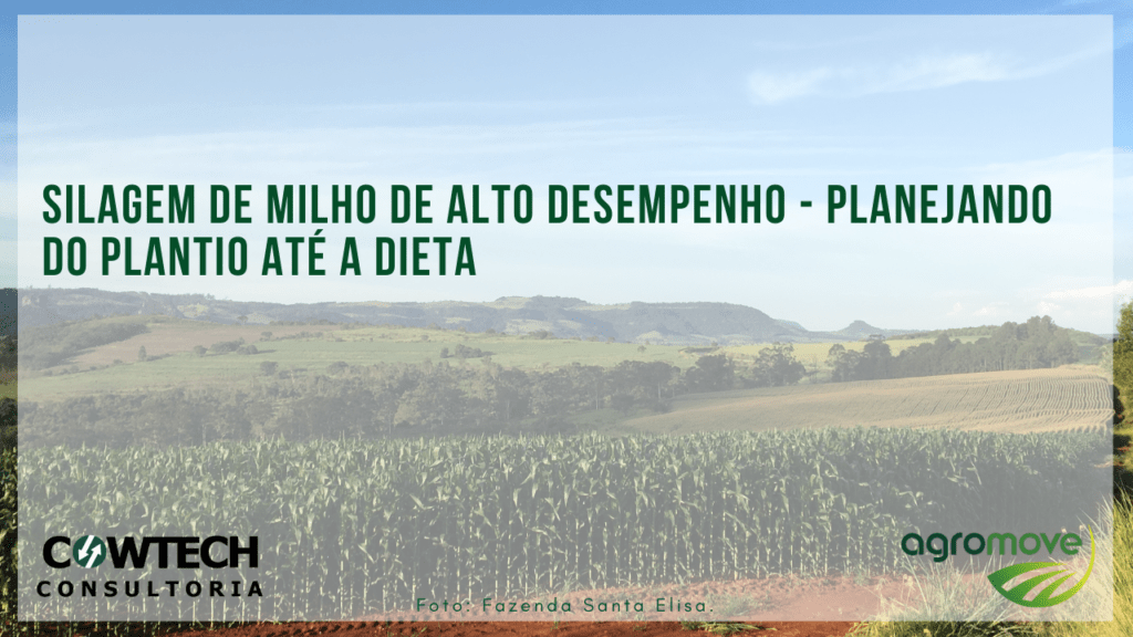 Silagem de milho de alto desempenho - planejando
do plantio até a dieta