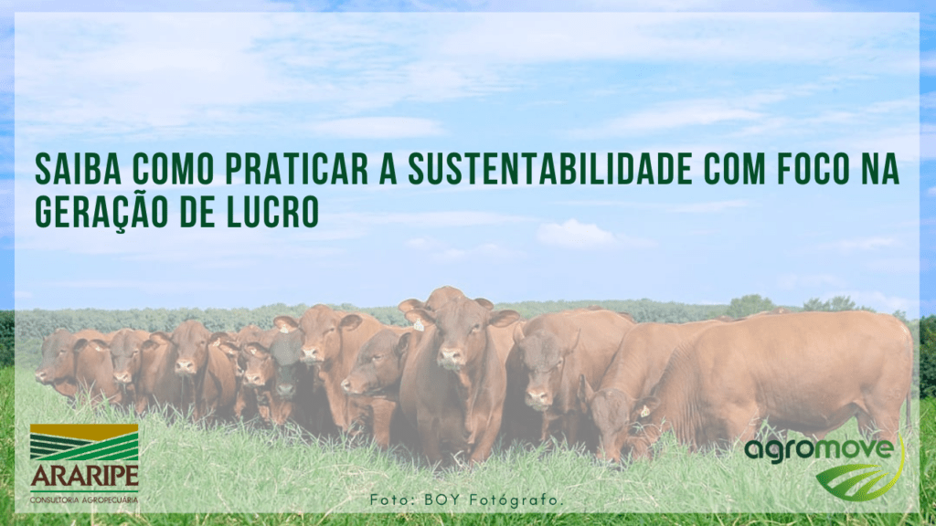 Saiba como praticar a sustentabilidade com foco na geração de lucro