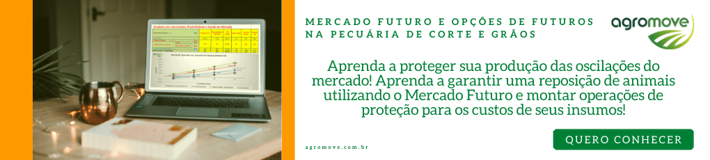 Mercado Futuro e Opções de Futuros na Pecuária de Corte e Grãos🌽